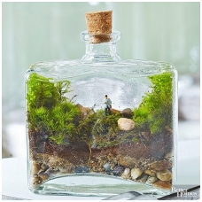 Ecosystem in a bottle