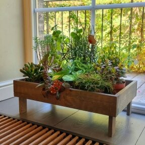 Wooden plants Crib